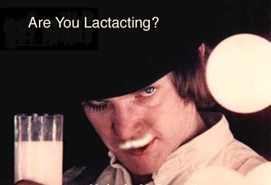 Top 13 Worst Slogan Translations Ever